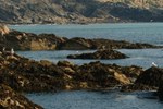 Отель The Headland Hotel Отель The Headland Hotel