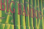 Отель Big Bamboo de Uvita Отель Big Bamboo de Uvita