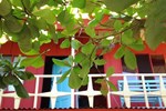 Отель La Ballena Roja Beach Bungalows Отель La Ballena Roja Beach Bungalows