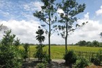 Отель Mekong Homestay Отель Mekong Homestay