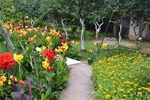 Гостевой дом Grand Guest House Kvariati Гостевой дом Grand Guest House Kvariati