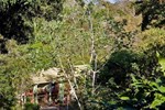 Отель Cuffie River Nature Retreat Отель Cuffie River Nature Retreat