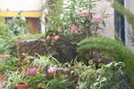 Гостевой дом Casa Agua Canela Гостевой дом Casa Agua Canela