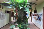 Отель Art Hotel Managua Отель Art Hotel Managua