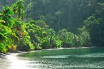 Отель Playa Nicuesa Rainforest Lodge Отель Playa Nicuesa Rainforest Lodge