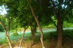 Вилла Villa Roselle Вилла Villa Roselle