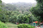 Хостел Hostel Finca La Gordita Хостел Hostel Finca La Gordita