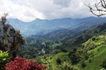 Отель Salento Finca Hotel Mundo Nuevo Отель Salento Finca Hotel Mundo Nuevo