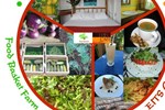 Гостевой дом Mount Edge Guest House Гостевой дом Mount Edge Guest House
