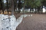 Гостевой дом Le Pentume Гостевой дом Le Pentume
