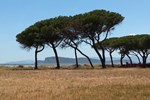 Гостевой дом Sun Sea Sand Гостевой дом Sun Sea Sand