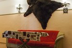 Хостел Столица Хостел Столица