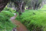 Апартаменты Suite Eco del Río Апартаменты Suite Eco del Río