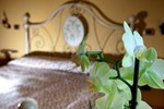 Отель Agriturismo Tenuta Stoccatello Отель Agriturismo Tenuta Stoccatello