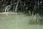 Отель Gigóia's Island Отель Gigóia's Island