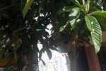 Апартаменты Le Residenze del Tenore Апартаменты Le Residenze del Tenore