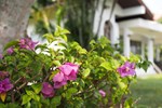 Гостевой дом Lamphun Garden Home Гостевой дом Lamphun Garden Home