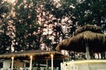 Отель Micky Monkey Beach Hotel Отель Micky Monkey Beach Hotel