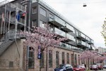 Отель Best Western Kampen Apartment Hotel Отель Best Western Kampen Apartment Hotel
