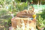 Гостевой дом Thai Country Guesthouse Гостевой дом Thai Country Guesthouse