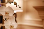 Отель Best Western Plus Heritage Inn - Bellingham Отель Best Western Plus Heritage Inn - Bellingham