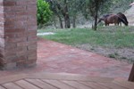Апартаменты Casale degli Olmi Апартаменты Casale degli Olmi