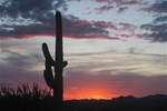 Отель Holiday Inn Express Hotel & Suites Phoenix Downtown - Ballpark Отель Holiday Inn Express Hotel & Suites Phoenix Downtown - Ballpark