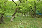 Гостиница База Отдыха Золотой Колос Гостиница База Отдыха Золотой Колос