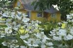 Гостиница Holiday home Клены Гостиница Holiday home Клены