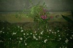 Гостиница Country House Leila Гостиница Country House Leila