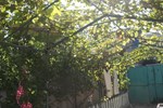 Гостиница Homestay On Gabashvili 43 Гостиница Homestay On Gabashvili 43