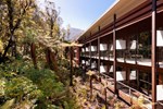 Отель Te Waonui Forest Retreat Отель Te Waonui Forest Retreat