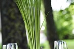 Отель Hotel De Bourbon Grand Hotel Mercure Bourges Отель Hotel De Bourbon Grand Hotel Mercure Bourges