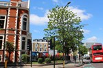 Гостевой дом Peckham Lodge Гостевой дом Peckham Lodge