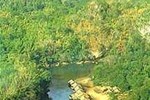 Отель River Kwae Jungle Rafts Отель River Kwae Jungle Rafts