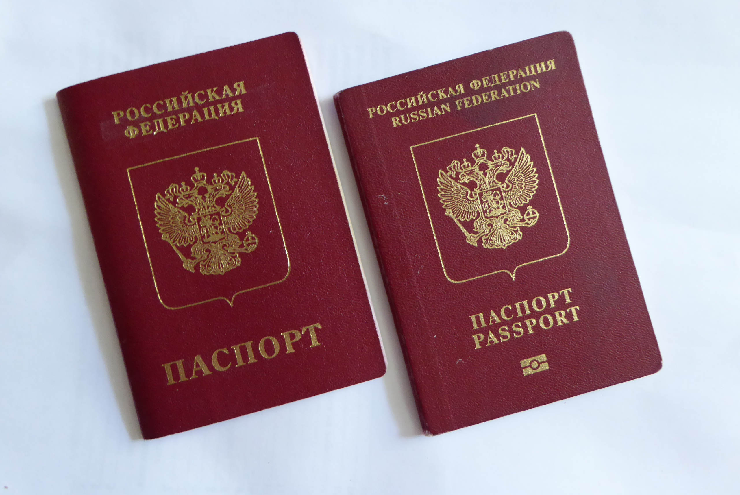 Как получить второй загранпаспорт при наличии первого? 22 Как получить второй загранпаспорт при наличии первого? 92