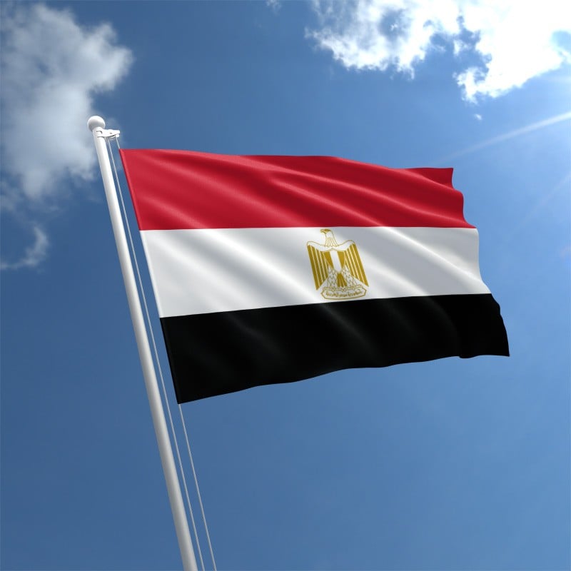 Авиасообщение с Египтом восстановят в феврале