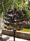 "Дерево любви" в Парке авиастроителей