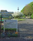 Ботанический сад франкфуртского университета