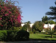 Coralia Club: garden-view