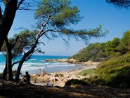 Природный пляж Roca Plana в Таррагоне