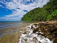 Пляж бухты Chatam Bay, Коста-Рика