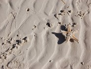 Песок на пляже Кайо-Коко