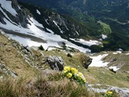 Боковой отрог горы Эчер летом