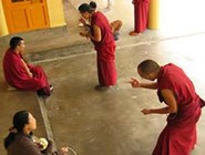 Монахи, собравшись в группы, заучивают молитвы и священные тексты или ведут дебаты
