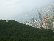 Иллюстрация того, какой Гонконг ещё и зелёный город