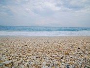 Ракушечный пляж, Флорида