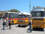 Обычные рейсовые автобусы на Мальте
