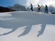Снегоступы популярны на юге Трентино