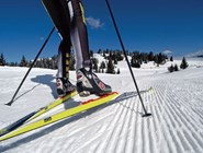 Фольгария - мекка беговых лыж
